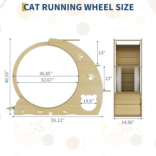 55" Multi Cat Exercise Wheel with 3