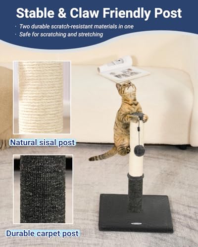 Cat Scratching Post (21.6" / Smokey Gray)
