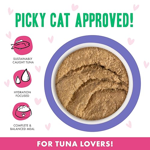B.F.F. Play Best Feline Friend Paté Lovers (3 Ounce (Pack of 12))