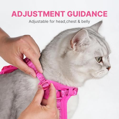 Cat Harness Leash Set with AirTag Holder (Pink for Airtag / L)