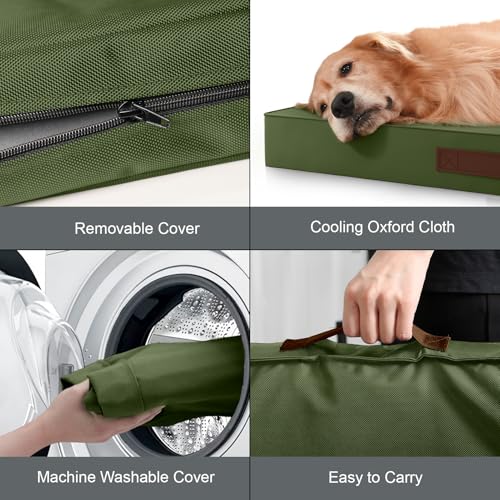 Large Waterproof Orthopedic Dog Bed with Egg Crate Foam (Amy Green / 41.0"L x 27.0"W x 3.5"Th)