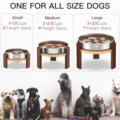 Elevated Dog Bowl Stand (7" Height 3Cups Slow Feeder)