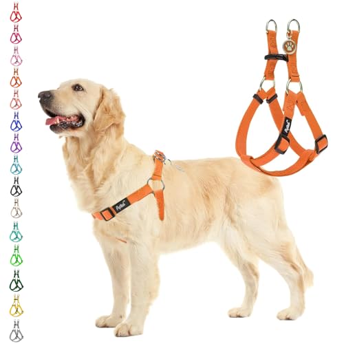 No Pull Dog Harness Large Sized Step (Orange / Large)