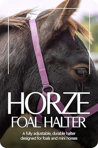 Adjustable Mini Horse Halter (Purple / Foal)