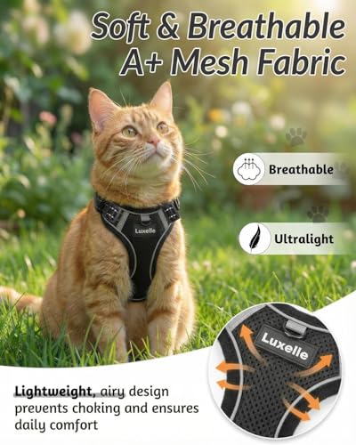 Escape Proof Cat Harness and Leash Set (Black / S)