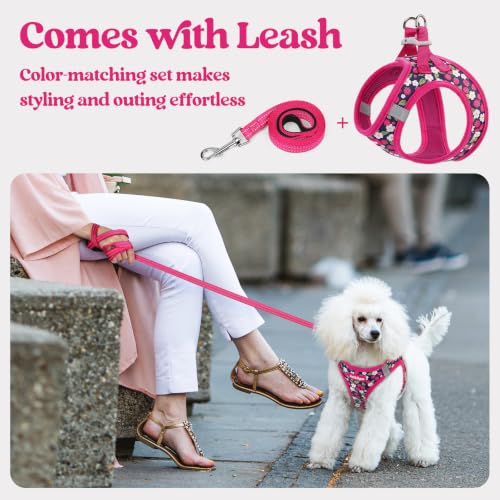 Dog Harness Small Sized and Leash Set (Pink Berry / S (chest: 15.1 - 16.5"))