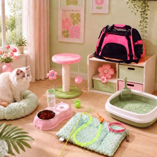 10 Pcs Kitten Starter Kit for Indoor (Classic / Medium / Pink Green)