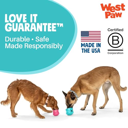 Zogoflex Toppl Interactive Treat Dispensing Puzzle Dog Toy for Mental Stimulation & Enrichment (Small / Teal)