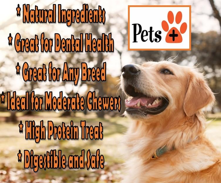 Pets Plus Premium Dog Treats (1 Ounce (Pack of 1))