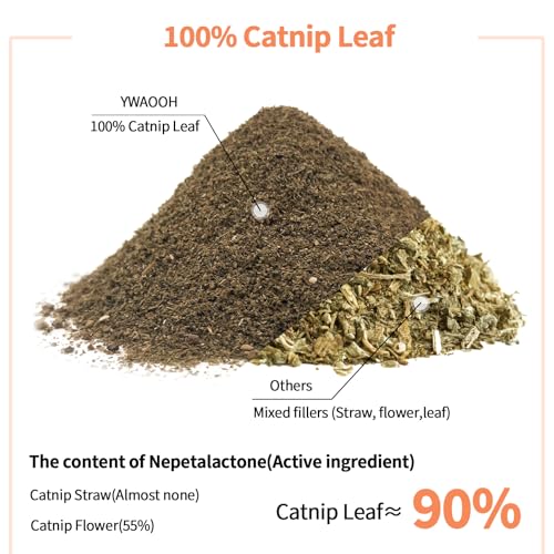Premium Catnip for Cats & Kittens (15g)