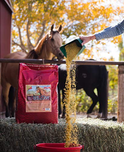 Glow 40 lb Aids in Weight Gain for horses and Improves Coat and Condition