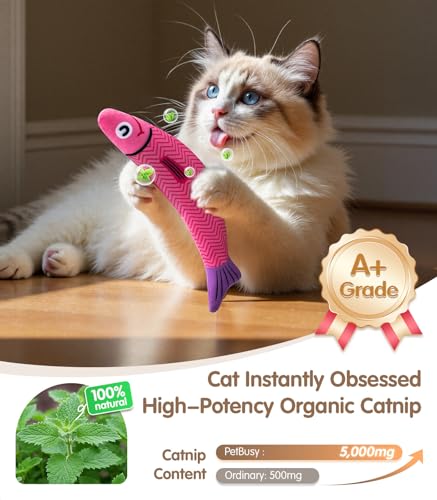 Interactive Cat Toys with[5000mg Premium A+Catnip &Silvervine][Baby Grade] Soft Chew Kicker Cat Toys for Indoor Cats & Kittens (Blue+Yellow+Pink)