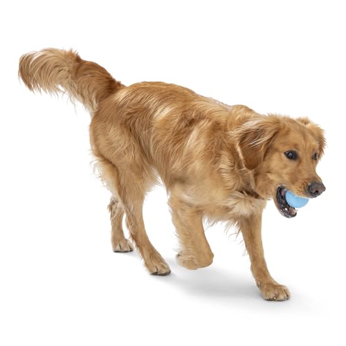 Boundr Ball Dog Fetch Toy (Small (Pack of 2) / Aqua Blue/Dandelion)