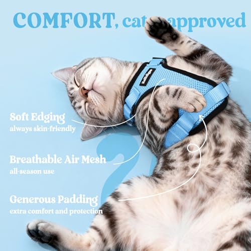 Cat Harness and Leash Set (Xxs / Light Blue)