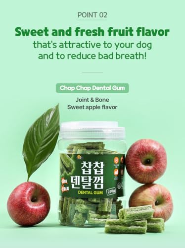 SSOMDALPET Chap Chap Dental Gum for Dogs (10.58 Ounce (Pack of 1))