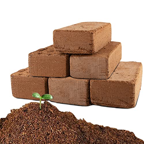 Coco Coir Brick for Plants (6pcs)