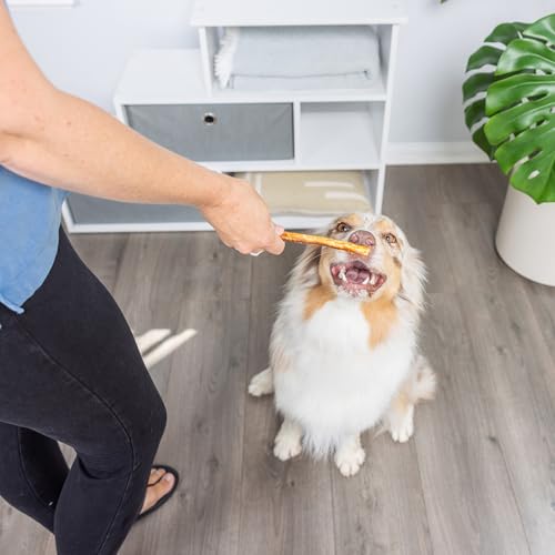 Real Salmon Collagen Bully Sticks for Dogs (5.3 Ounce (Pack of 15))