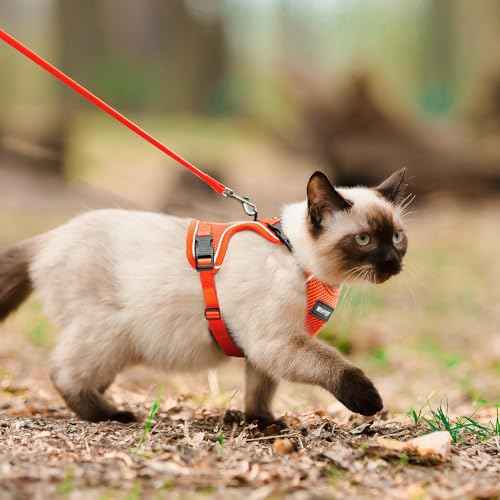 Cat Harness and Leash for Walking Escape Proof Soft Adjustable Cat Leash Breathable Comfortable Vest Easy to Wear Kitten Harness for Outdoor Travel (Orange / Medium)