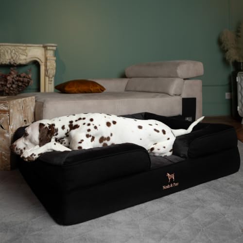 Large Dog Bed (Black - DE / X-Large)