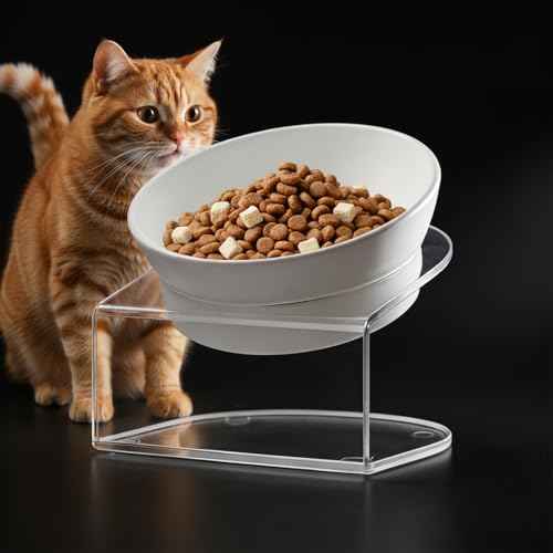 Raised Cat Bowl (White)
