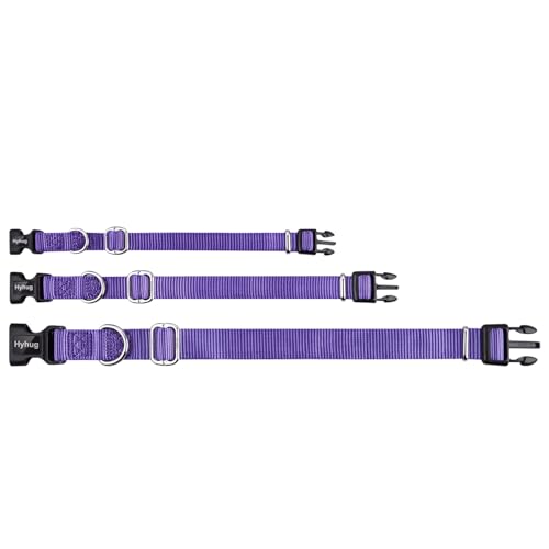 Purple Dog Collar for Medium Dogs (Medium / Ultra Violet)