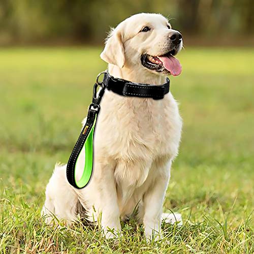 Short Dog Leash with Padded Handle for Medium Large Dogs (Black / 10 Inch (Pack of 1))