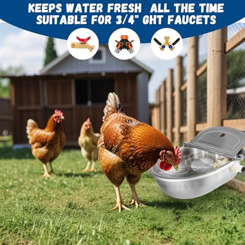 Automatic Chicken Waterer