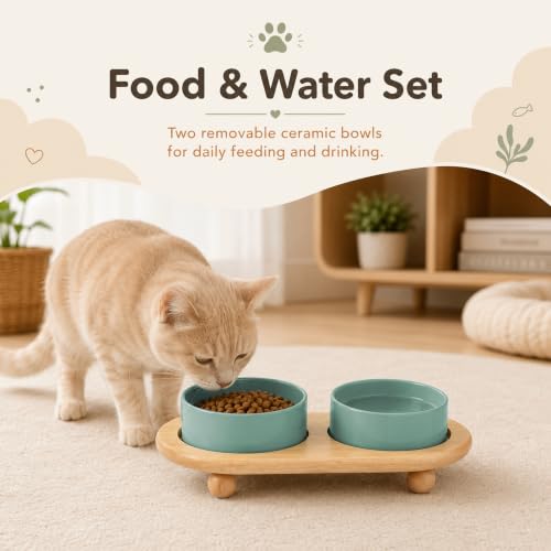 Raised Cat Bowl 5.1” Elevated Ceramic Cat Food and Water Bowl Set (Light Green)