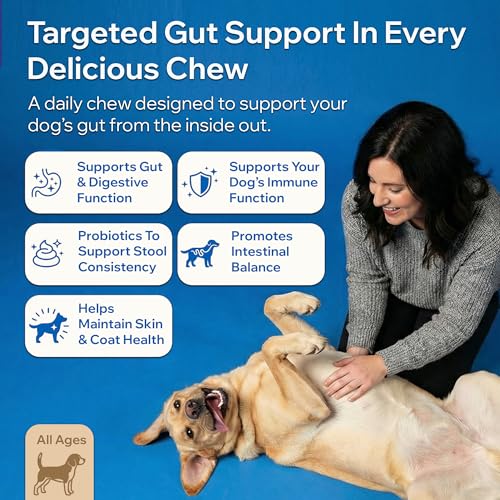 Dog Probiotics For Gut Health