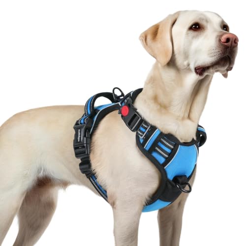 Dog Harness for Large (Large / Sky Blue)