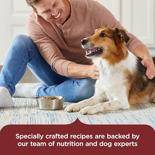 Dry Dog Food Beef (5 Pound (Pack of 1))