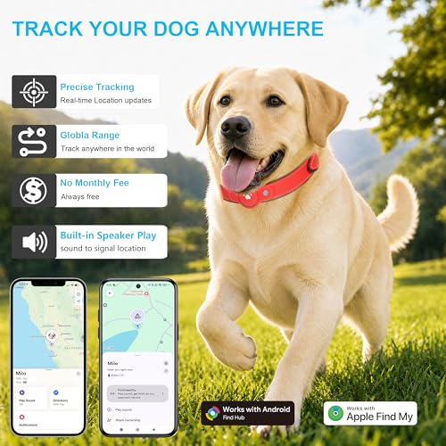 GPS Tracker for Dogs (Orange / L(12.5''-21''))