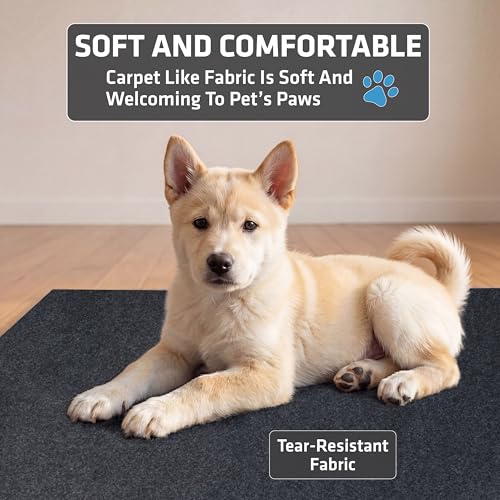 2 Pack Washable Pee Pads for Dogs (29" x 36" (2-Pack) / Charcoal)