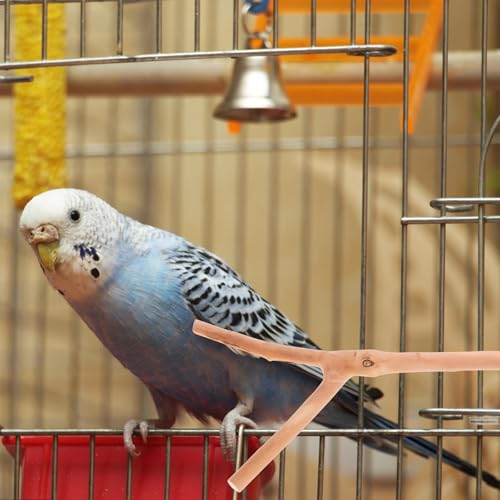 2 Pack Natural Wood Bird Perches for Cage