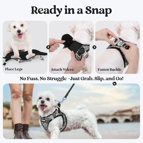 Dog Harness Small Sized and Leash Set (Black Zigzag / Xs (chest: 13.3 - 15.5"))