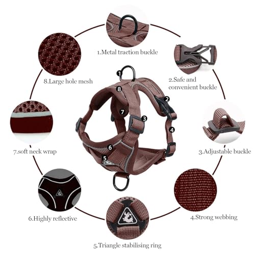 cat Chest Harness and Leash (Brown / XL:16.5-22.04lb)