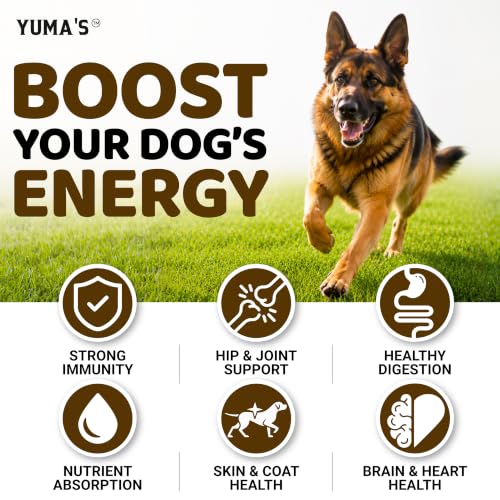 Turkey Tail Mushroom for Dogs (Multivitamin Mushroom Complex / 170 Chews)