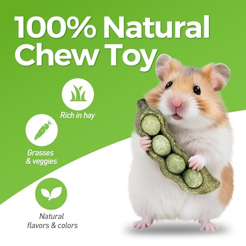 Guinea Pig Toys (3PCS-Peapods)