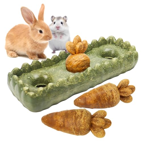Guinea Pig Chew Toys (4PCS-Grass Patch & Carrots)