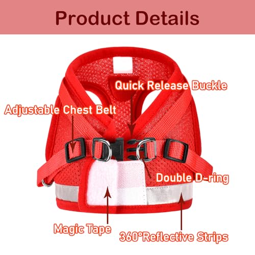 Cat Harness and Leash Set (S (Chest: 9" - 11") / Red)