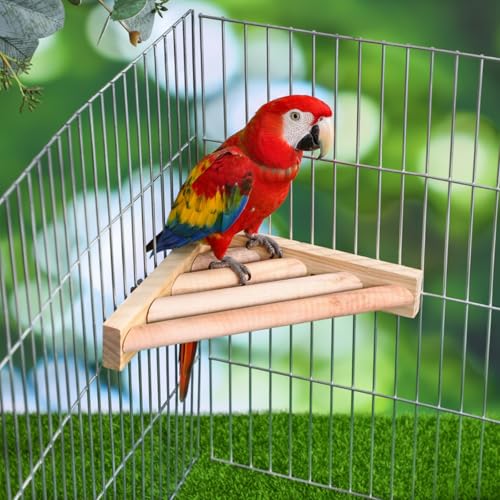 3 Pcs Bird Perch Platform Bird Corner Parrot Perch Corner Wooden Stand Sector Playground Cage Accessories Shelf for Parakeet Conure Cockatiel Budgie Gerbil Rat (7.1 x 7.1 Inch / Ladder)