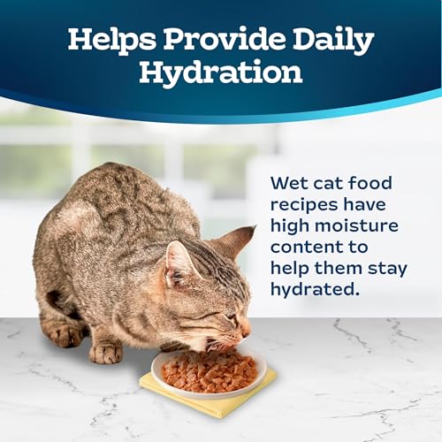 Tastefuls Salmon Wet Cat Food (3 Ounce (Pack of 24))
