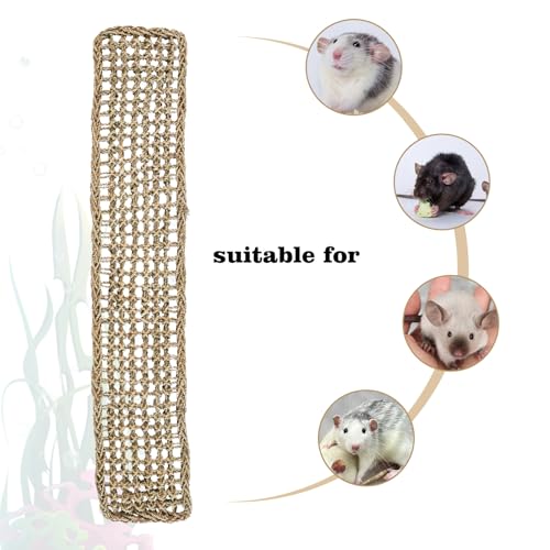 Rat Climbing Toys