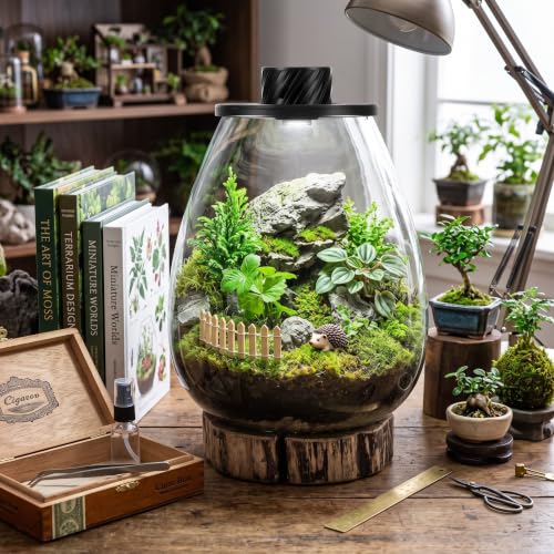 Glass Terrarium Kit with LED Grow Light for Desktop (6.9 x 7.8 Inch)