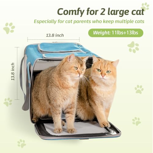 Large Cat Carrier for 2 Cats (Blue(Large))