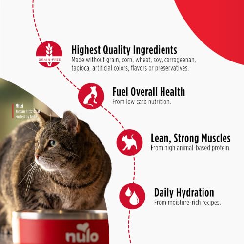 Turkey & Chicken Recipe Pate Wet Canned Cat Food (5.5 Ounce (Pack of 24))