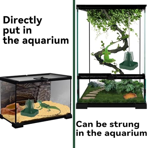 Chameleon Feeder Bearded Dragon Feeder for Mounted Insect（Large） (Large)