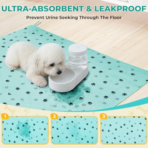 Washable Dog Pee Pads (Green / 31*36 Inch (Pack of 2))