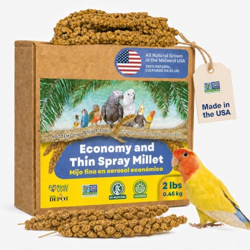 2lbs Economy & Special Spray Millet for Birds (2 Pound (Pack of 1))