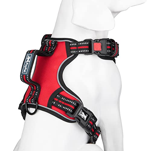 No Pull Dog Harness with 3 Leash Clips and Vertical Handle (Medium / Red)